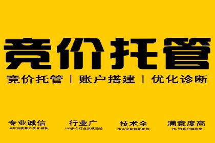 提升品牌曝光度：sem优化托管的成功案例